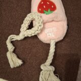 「新しい家族」